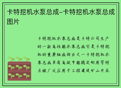 卡特挖机水泵总成-卡特挖机水泵总成图片